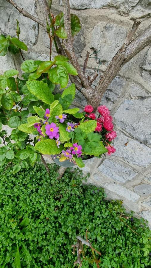 Le Gite De La Gray House Mettet Zewnętrze zdjęcie